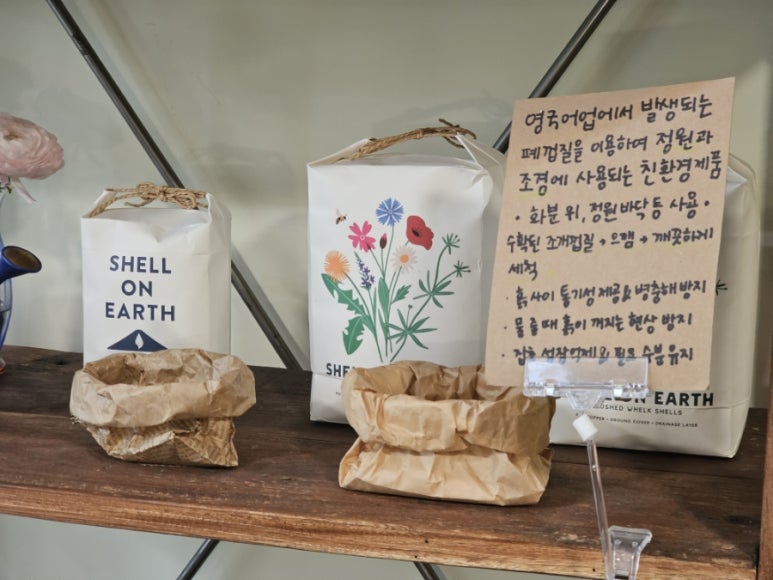 더그린썸 이미지