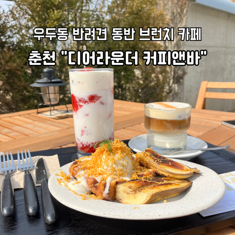 디어라운더 이미지