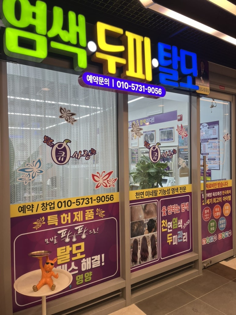 수원큐사랑염색 이미지