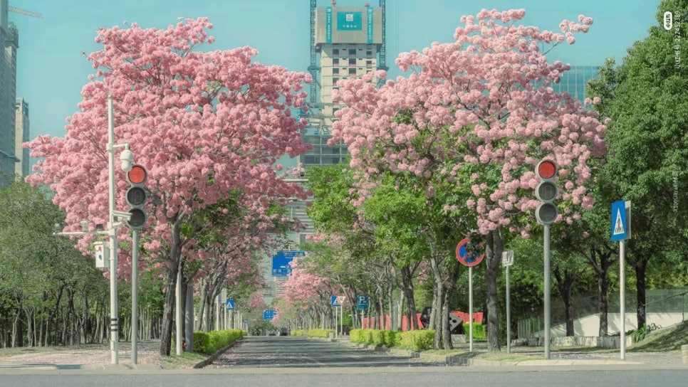 달실용음악학원 이미지