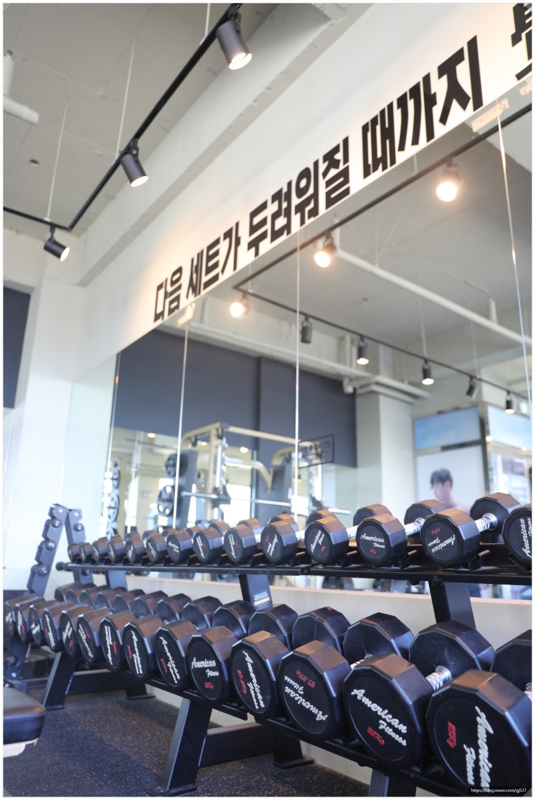 휘트니스베이직 이미지