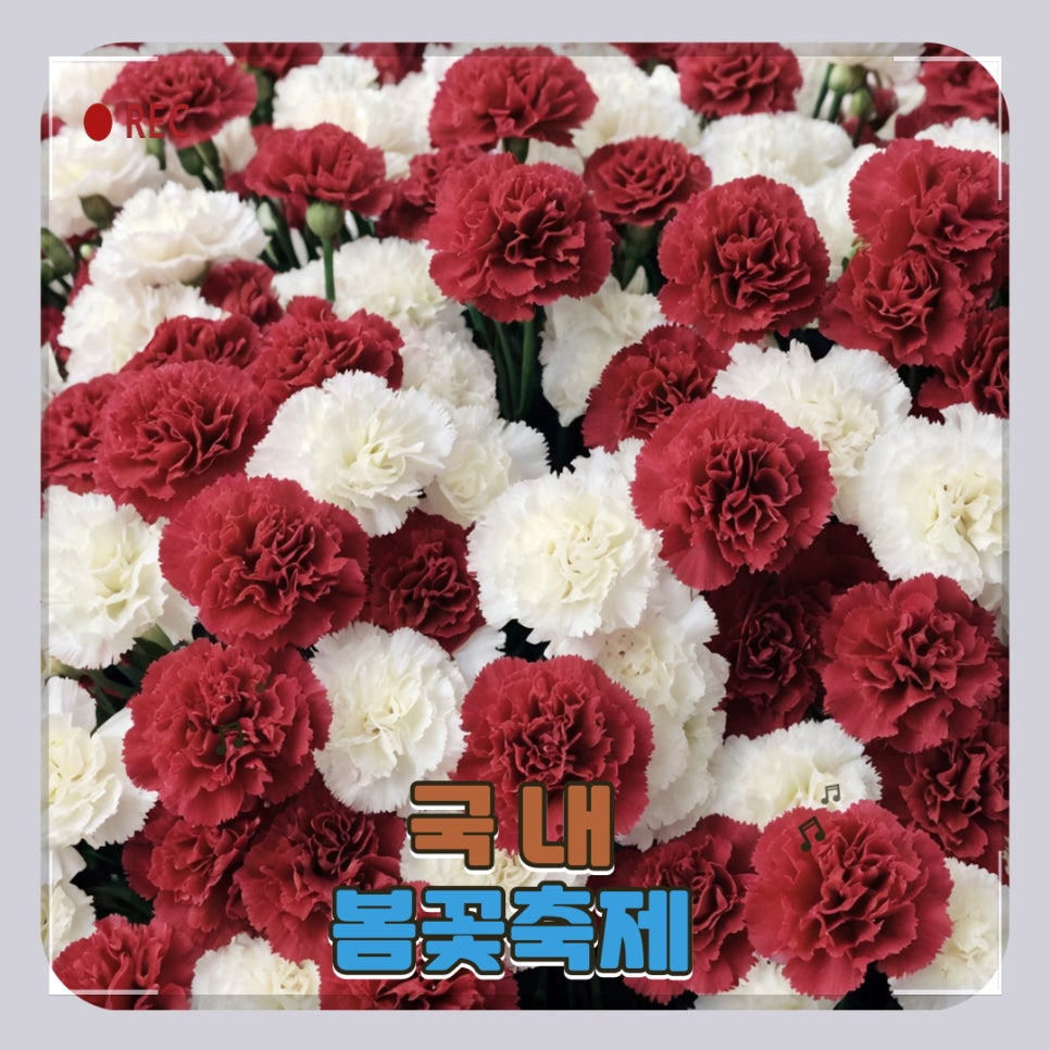 꽃내음수선 이미지