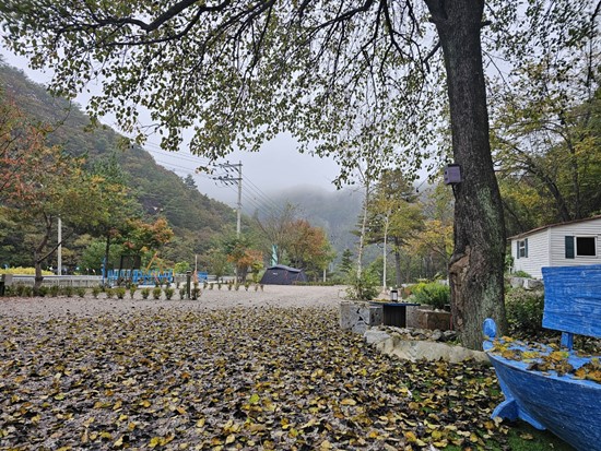 오대천 휴 캠핑클럽 이미지