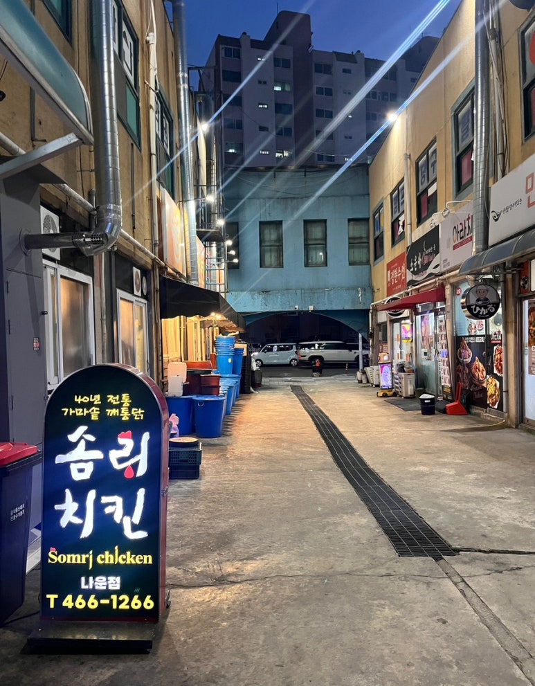 솜리치킨나운 이미지