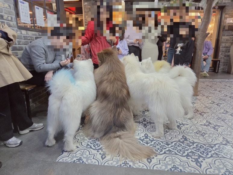겨울이머무는집 이미지