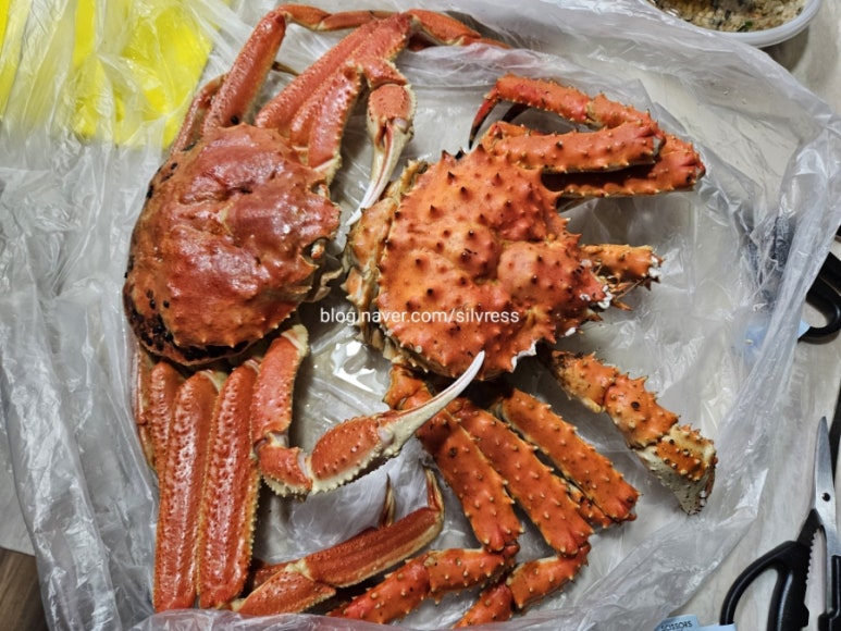 해수크랩 이미지