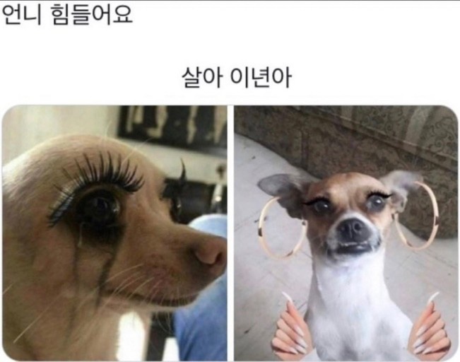 기릿 이미지