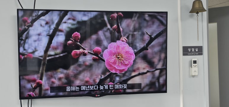 보아스뷰티 이미지
