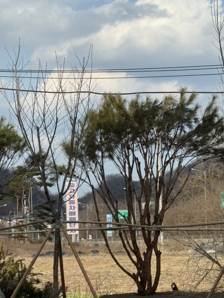영주모터스 이미지