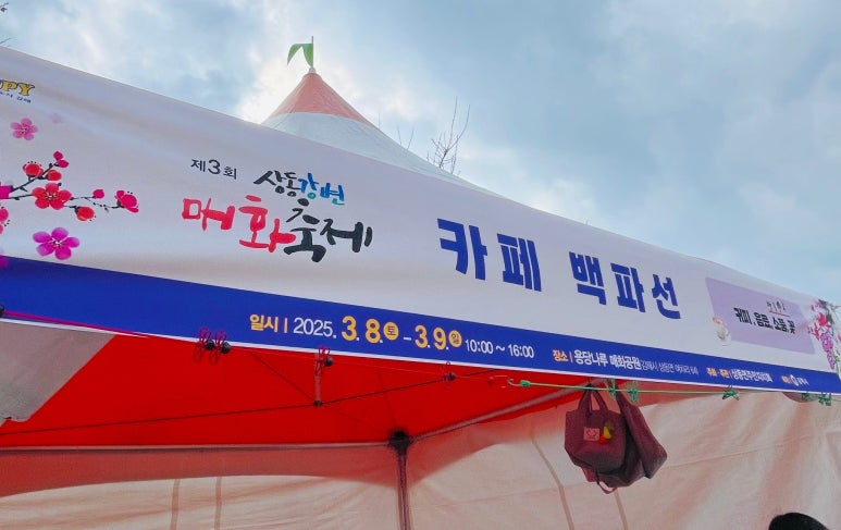 까페백파선 이미지