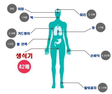 창아로마테라피 이미지