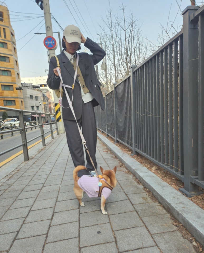 (주) 레이지지 이미지