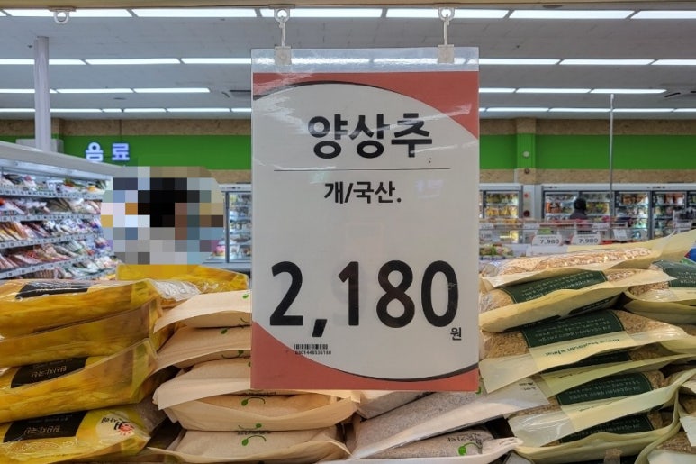 우리싱싱야채 이미지
