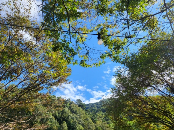 엘림펜션캠핑장 이미지
