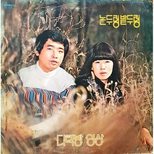 장미꽃핀집 이미지