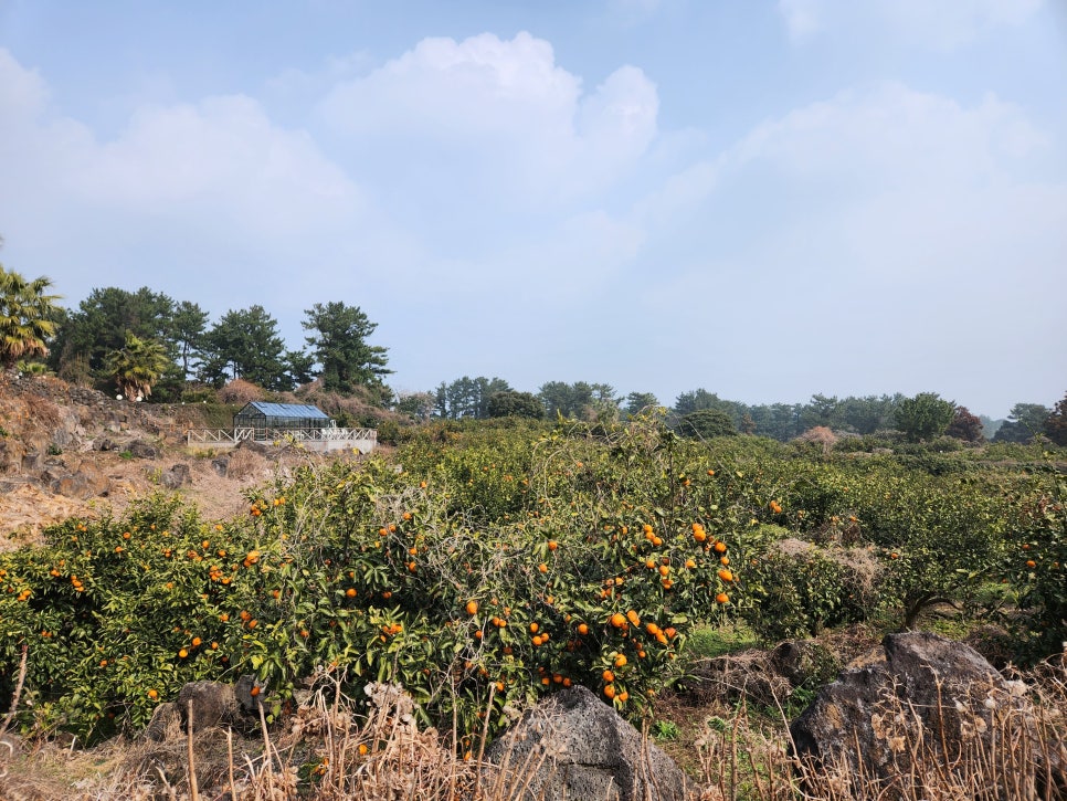 성산파라다이스힐 이미지