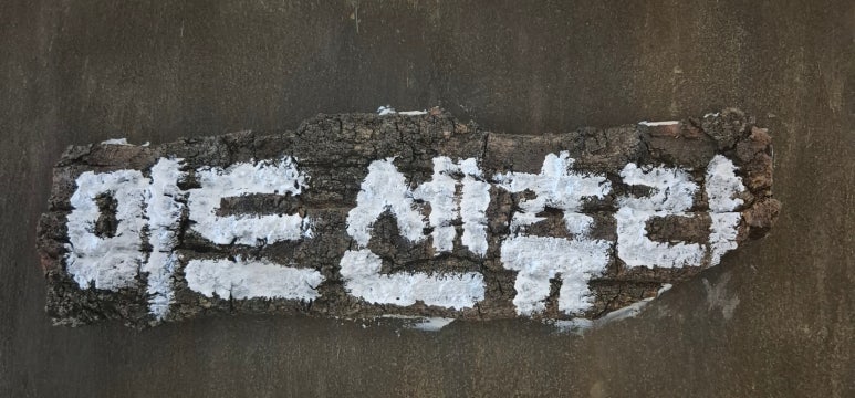 홀라인대청호점 이미지