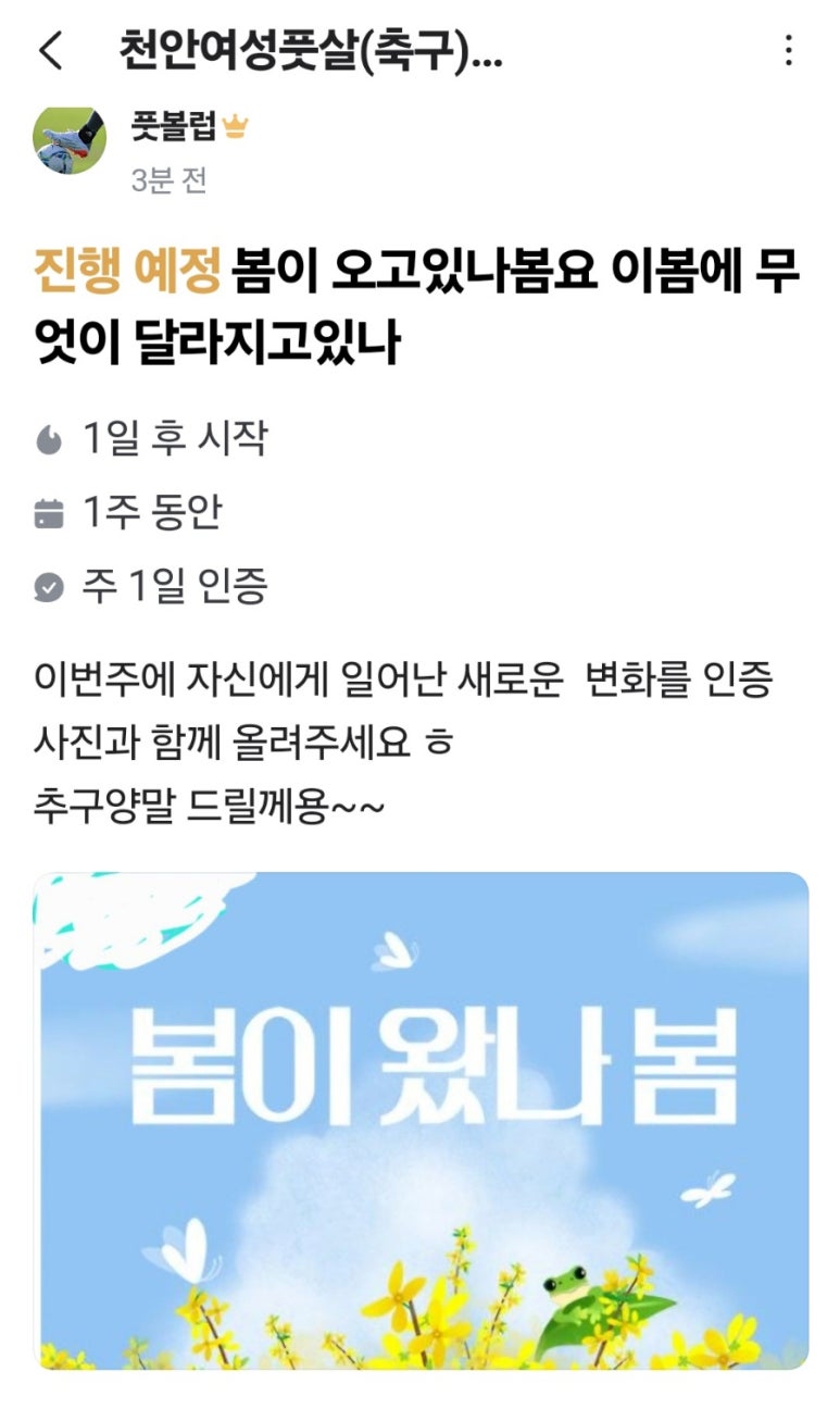 고고풋살 이미지