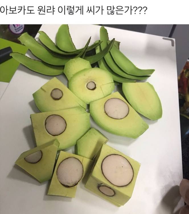 썬 이미지