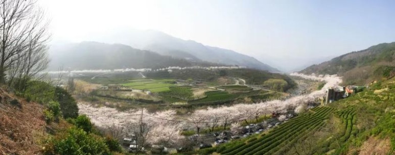 썸타 이미지
