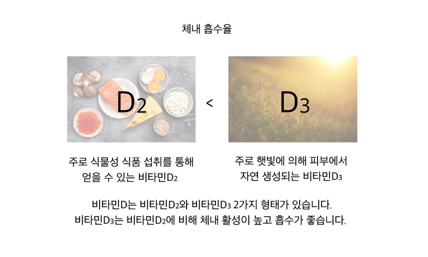 닥터세이지 이미지