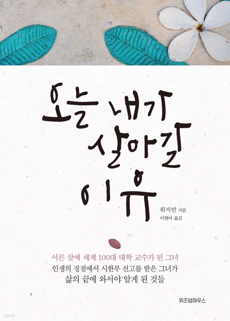 위지안 이미지