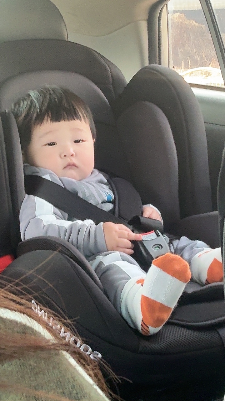 단율 이미지