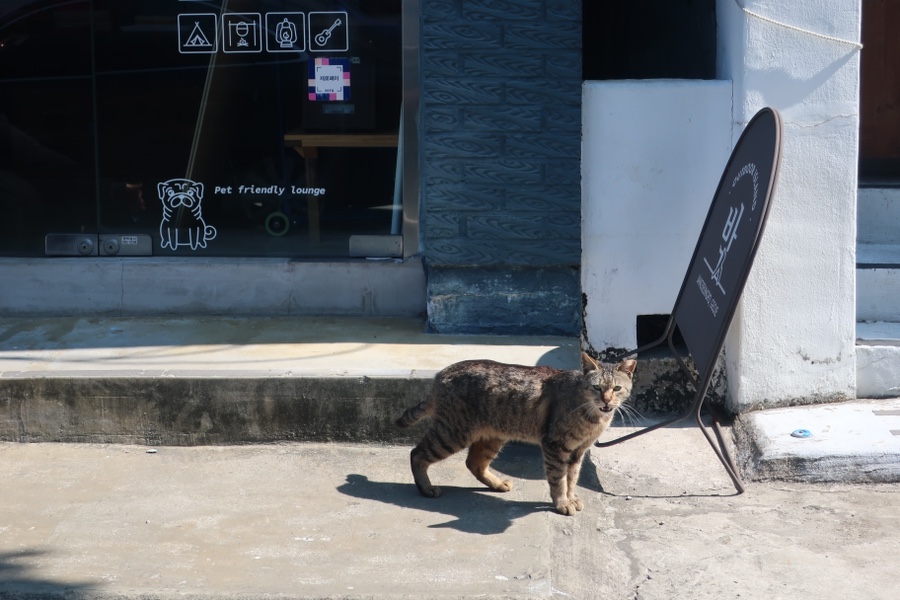 야옹수산 이미지