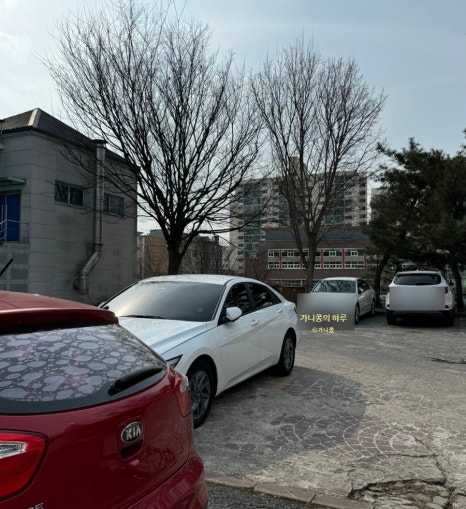 리유에스테틱 이미지