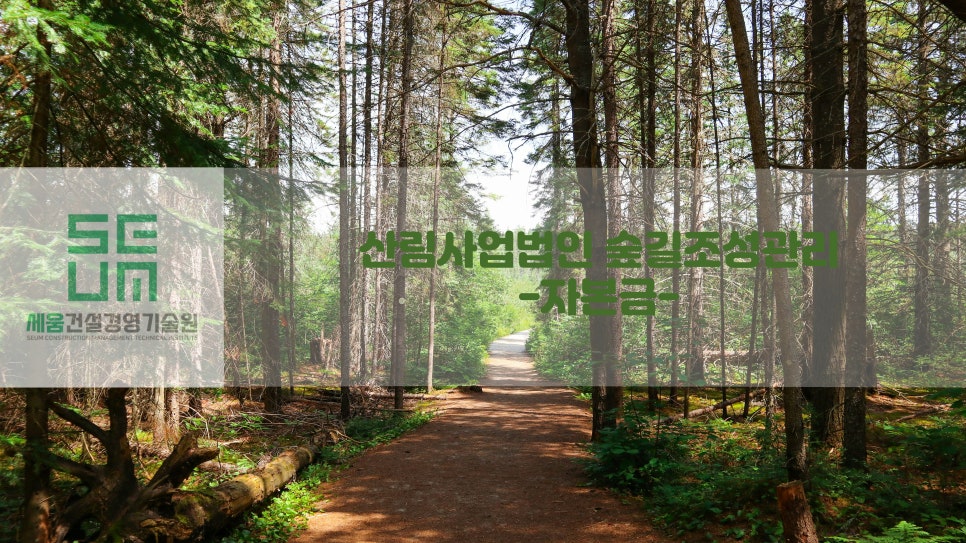숲길법인 이미지