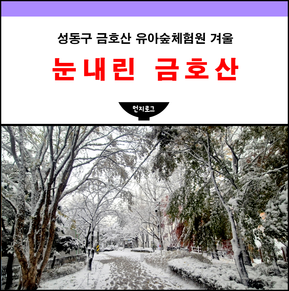 금호산 유아숲체험원 이미지