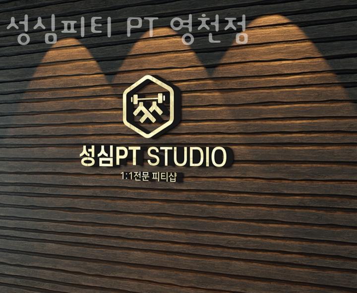 성심피티PT 이미지