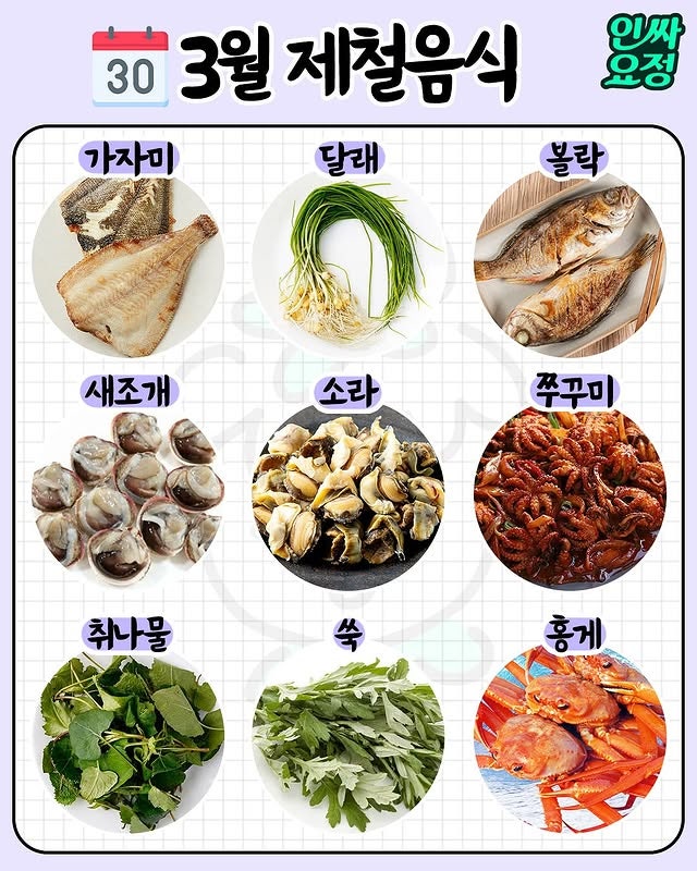 해초롱 이미지
