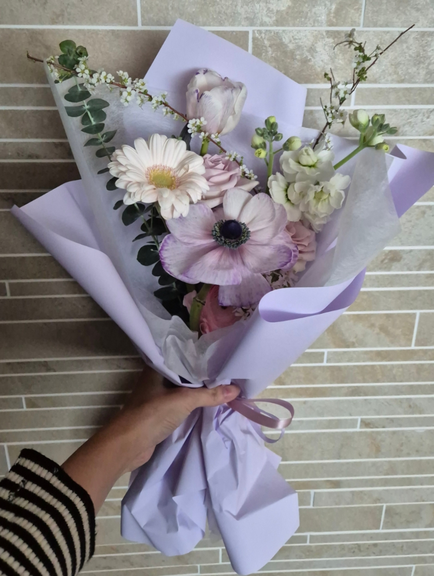 꽃레나 이미지