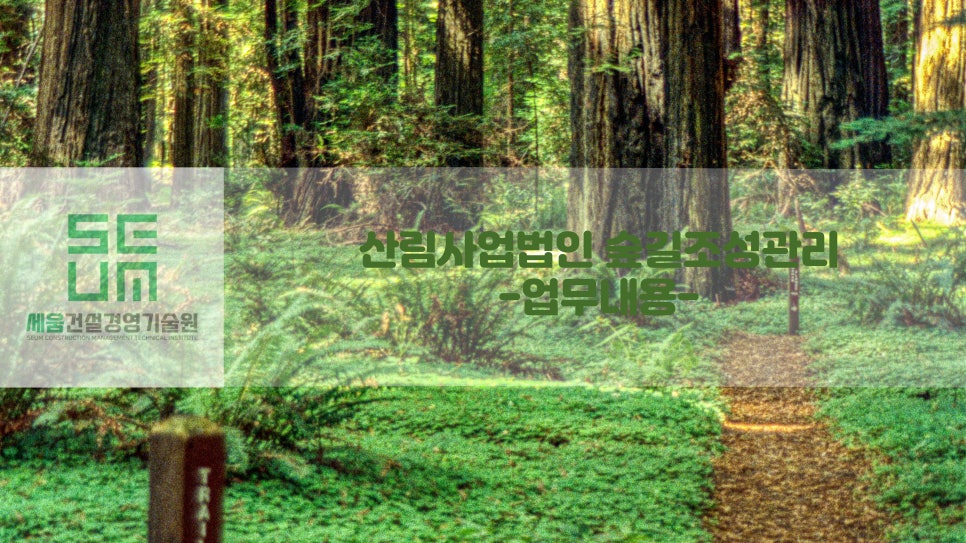 숲길법인 이미지