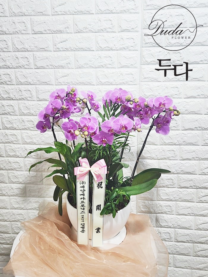 신영하이테크 이미지