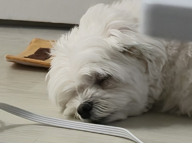 카페모던코드 이미지