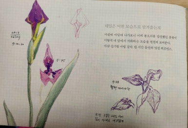 열두달꽃이랑 이미지