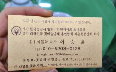 자운꽃예술학원 이미지