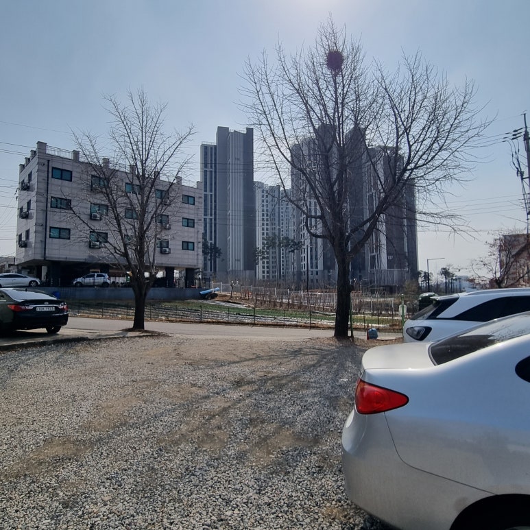 상신감자탕 이미지