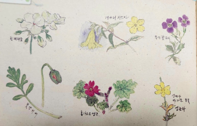 열두달꽃이랑 이미지