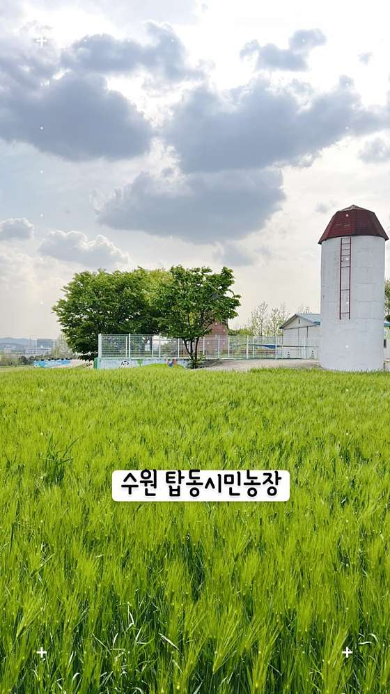 수원농장 이미지