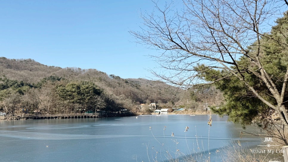 청와오리 이미지