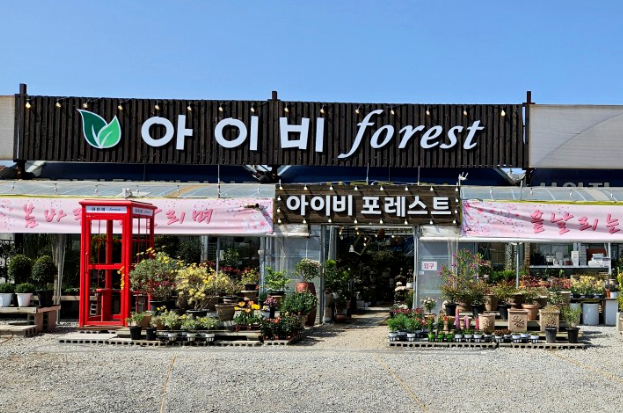 아이비화원 이미지