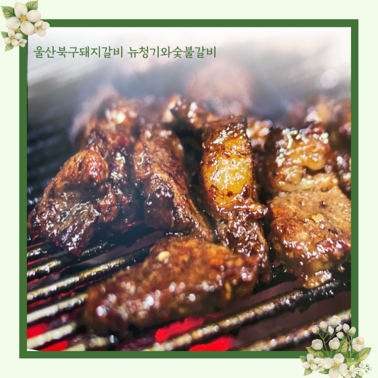 뉴착한고기 이미지