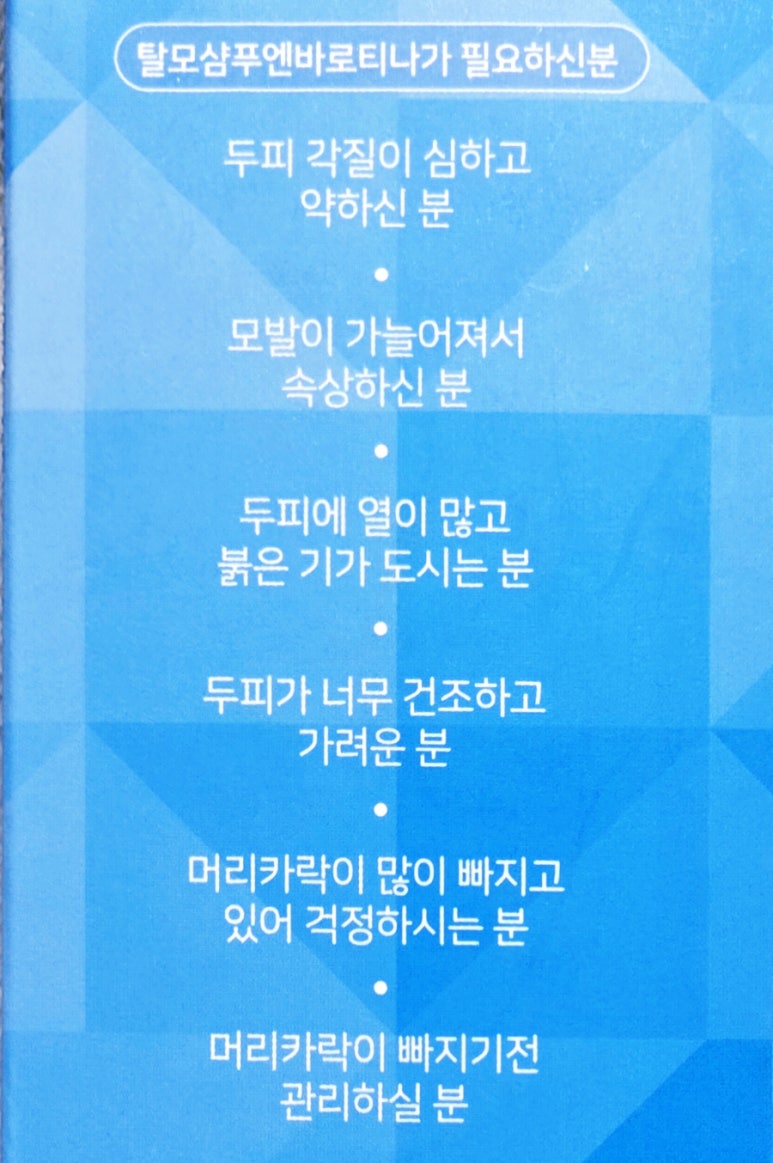 바로티나 이미지