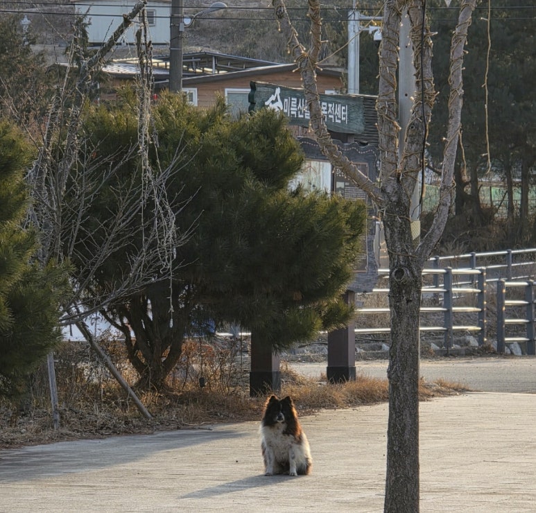 글라스베이커리 사진 2