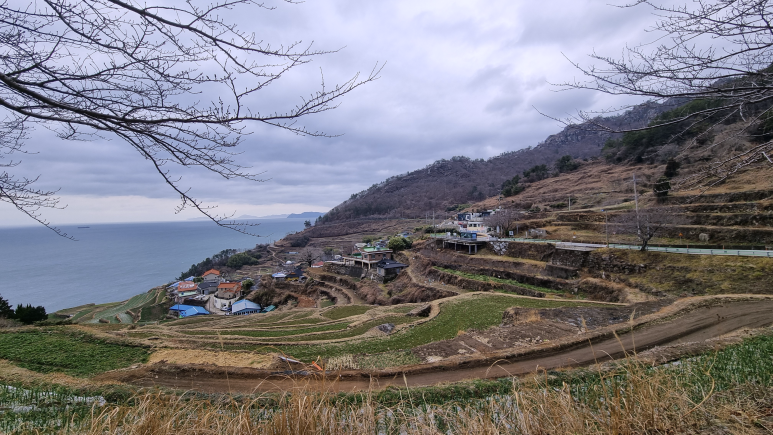 다솔산방 이미지