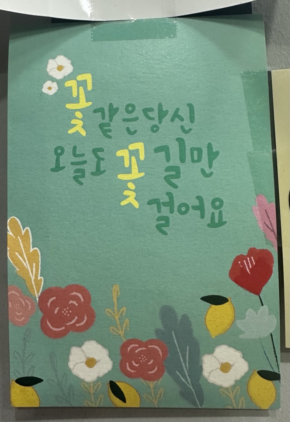 나포토사진관 이미지