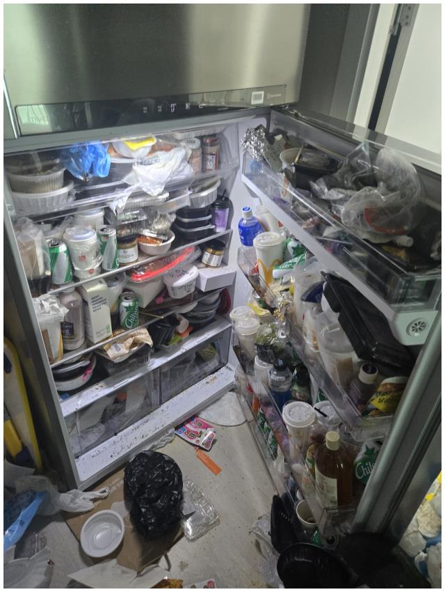 쓰레기집청소 이미지